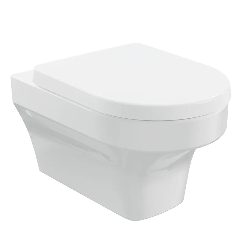 A white wall-hung toilet